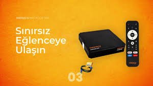 Mersin Uyducu